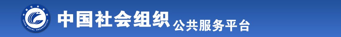 男生的鸡巴插进女生的美穴里网站全国社会组织信息查询